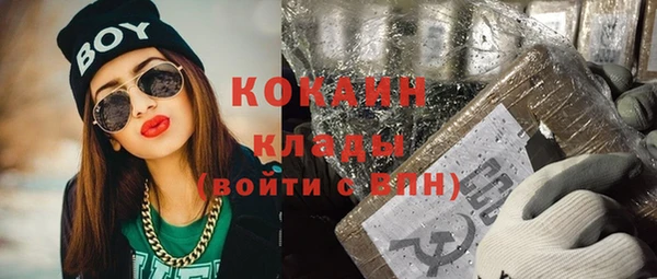 spice Новодвинск