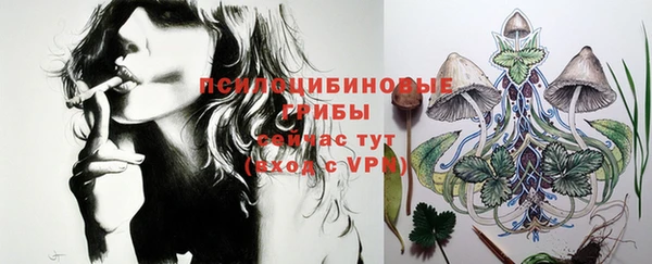 трава Абинск