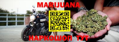 прущие грибы Тара