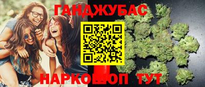 прущие грибы Тара