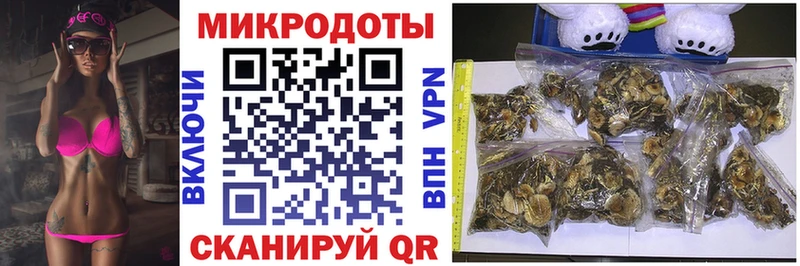 где купить наркоту Североморск Галлюциногенные грибы прущие грибы