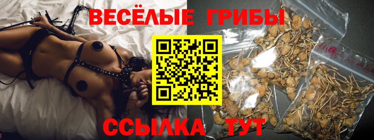 Галлюциногенные грибы мицелий  Вход с VPN  хочу   Североморск 